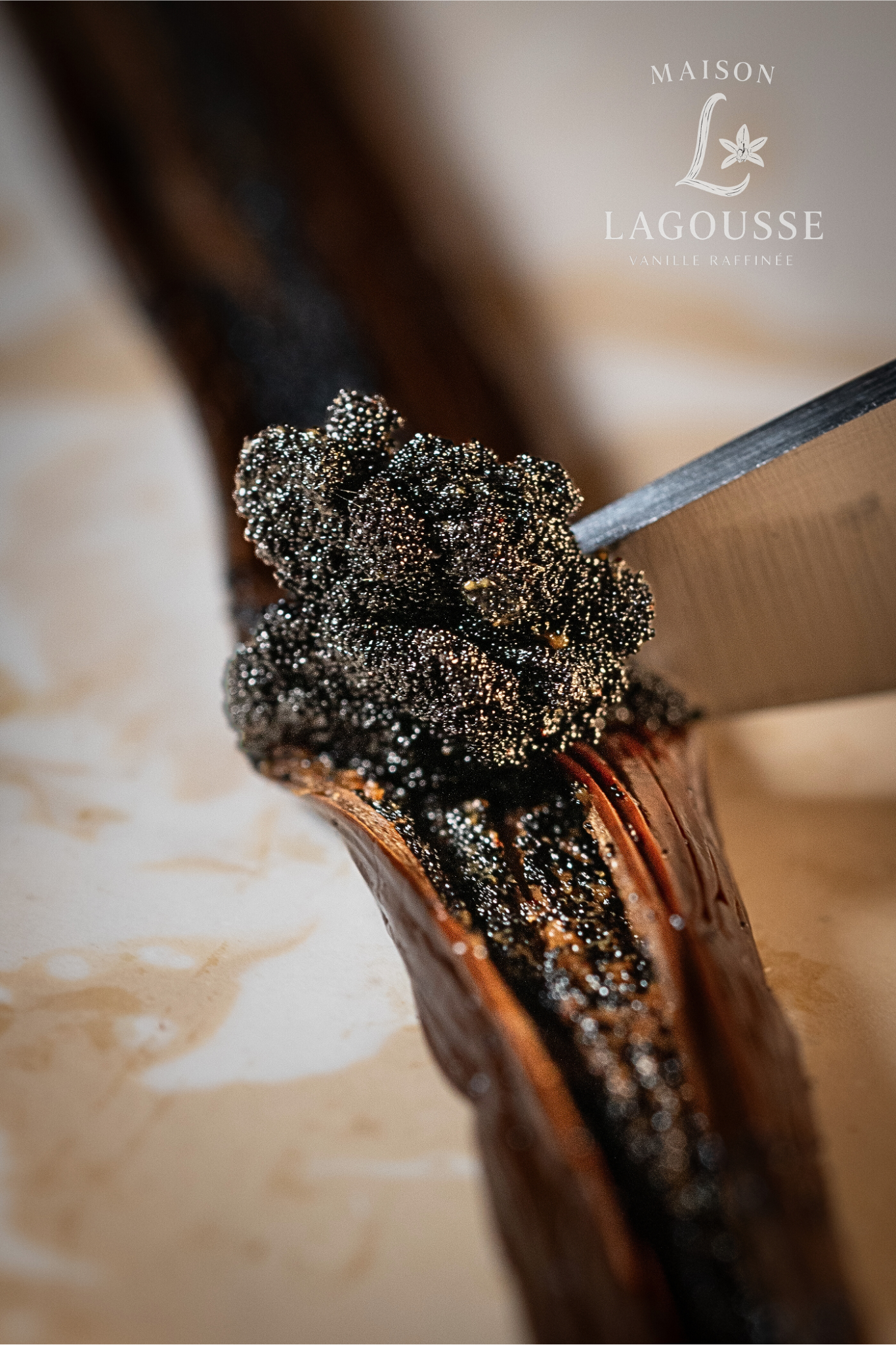 Gousse de Vanille de Madagascar – Gourmet XXL (18 cm et +)