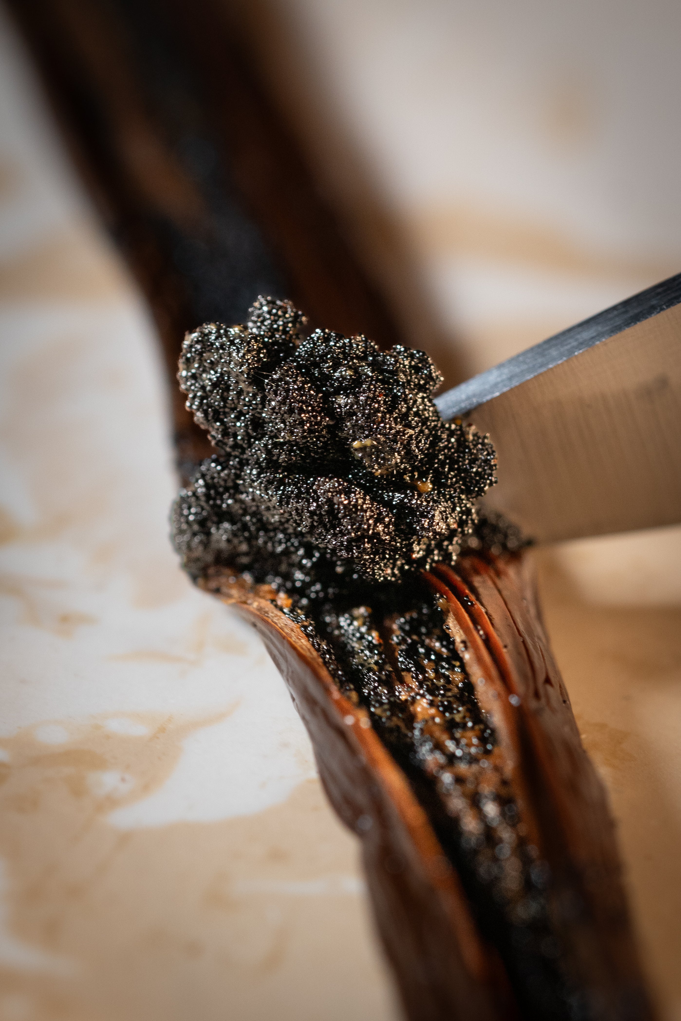 Caviar de vanille Bourbon de Madagascar extrait d’une gousse avec un couteau