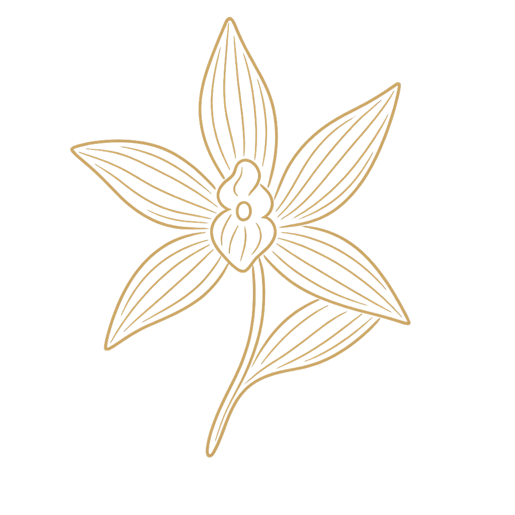 Illustration stylisée d’une fleur de vanille dorée – Maison Lagousse