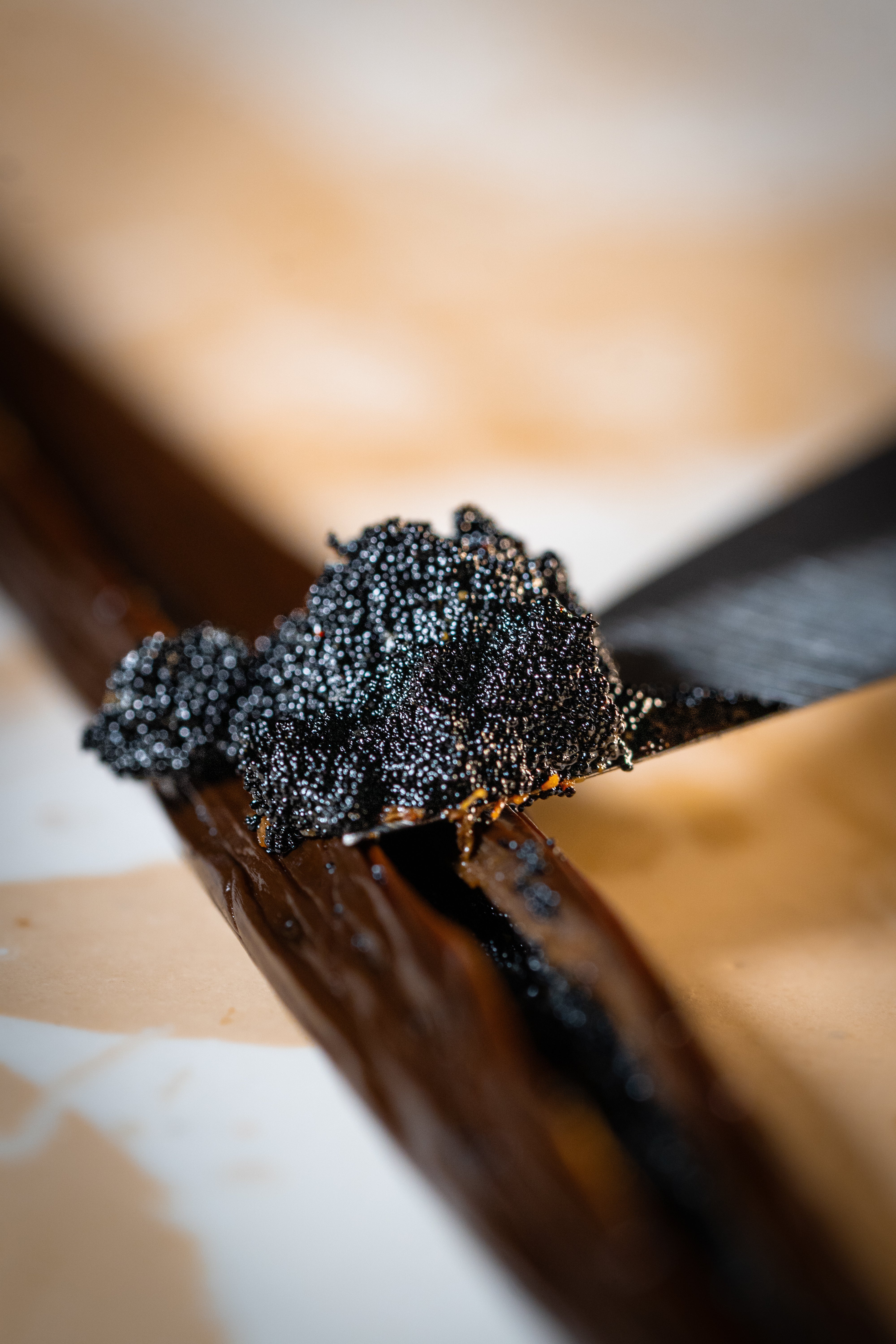 Caviar de vanille Bourbon extrait d’une gousse de Madagascar – Maison Lagousse